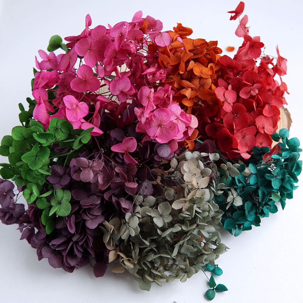 Gedroogde, gekleurde hortensia - Wedding Supply In Bulk recensie en prijs