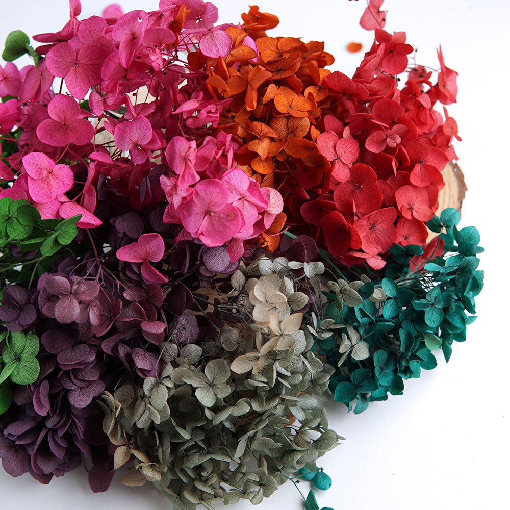 Gedroogde, gekleurde hortensia - Wedding Supply In Bulk recensie en prijs