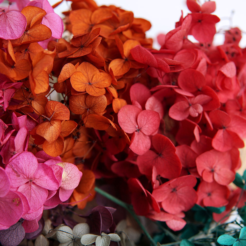 Gedroogde, gekleurde hortensia - Wedding Supply In Bulk recensie en prijs